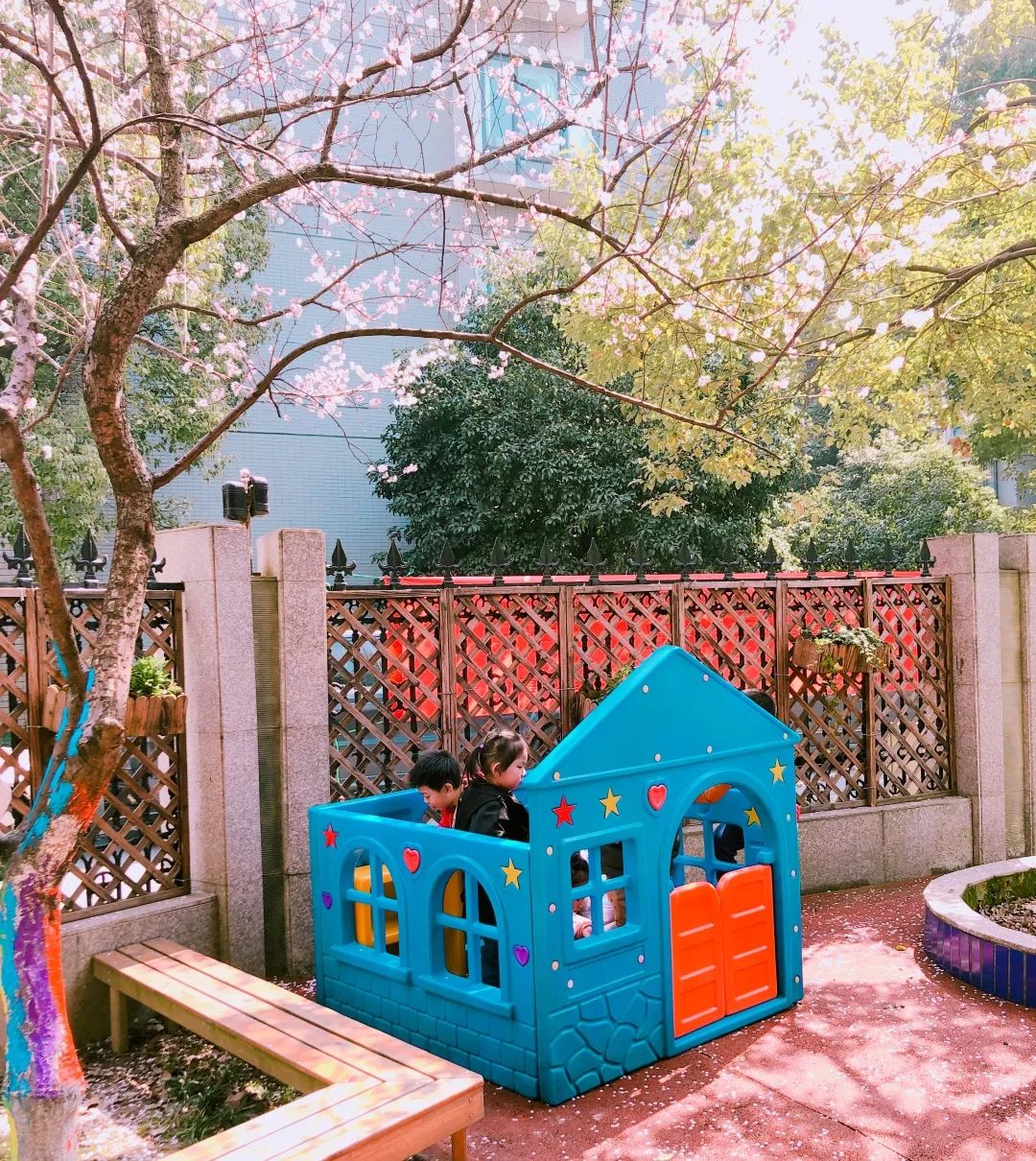 海量美图100张,海量高清美图