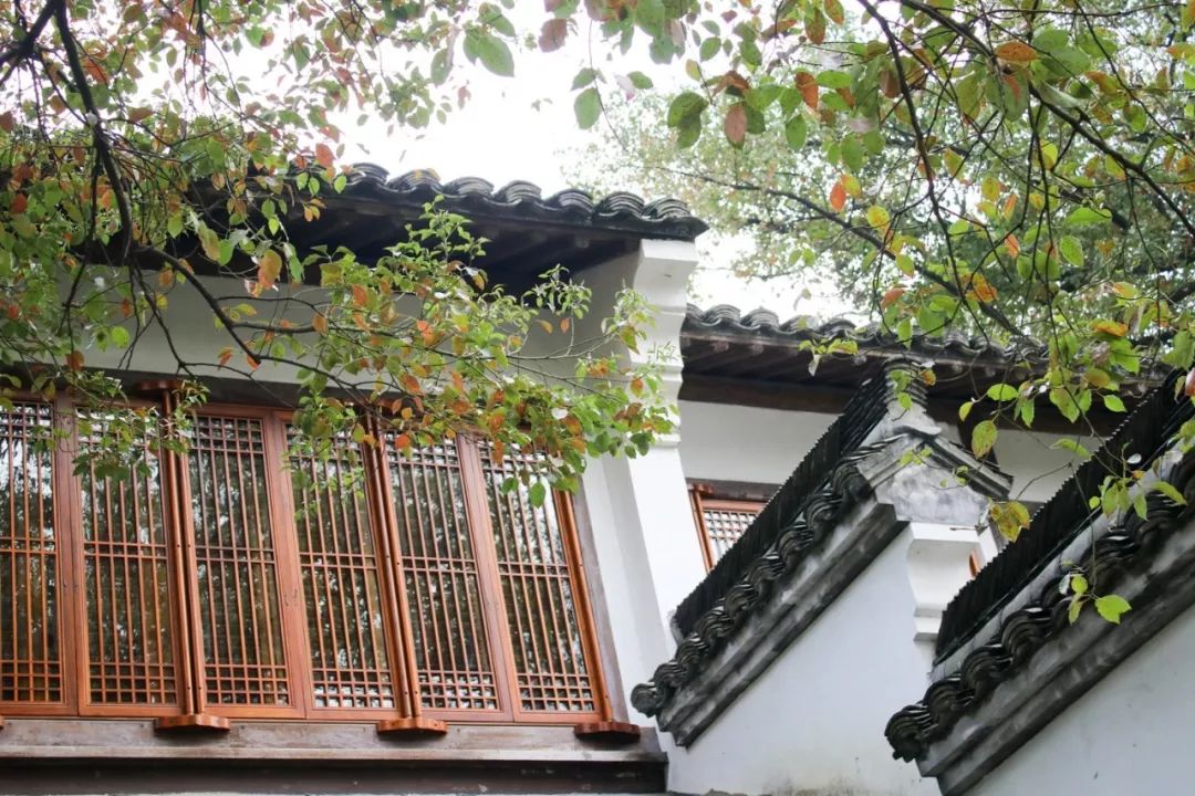 摇船前往酒店，睡在百花深处|杭州最仙儿的打开方式叫紫萱！