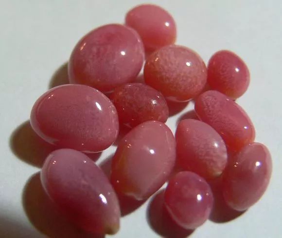 海螺珍珠饰品,海螺珠珠宝品牌