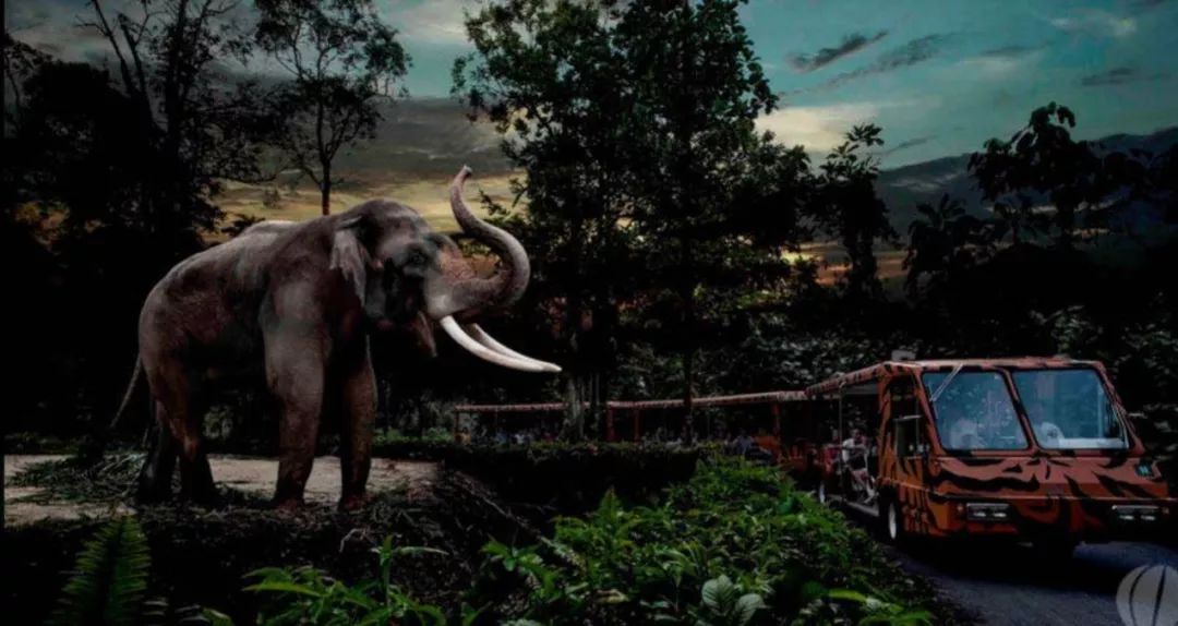 夜游项目如何形成独特夜间体验,小型夜游项目推荐