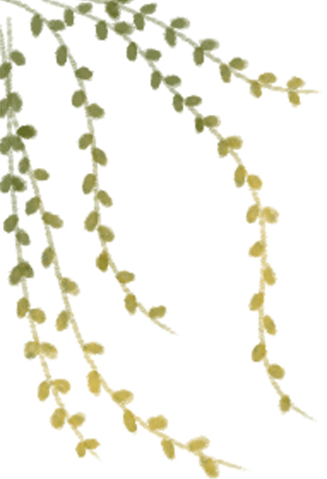 柳絮过敏宝宝老是揉眼睛怎么办,柳絮引起的皮肤过敏怎么缓解