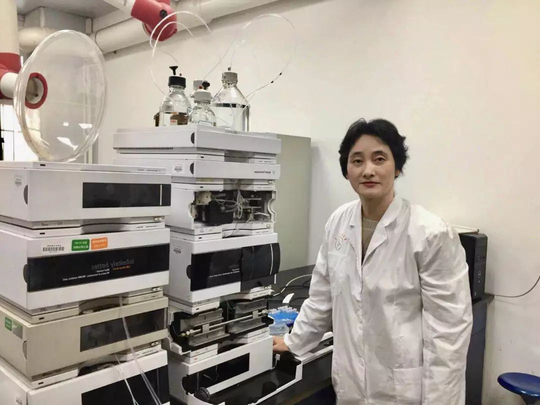 情根深种百科,情根深种