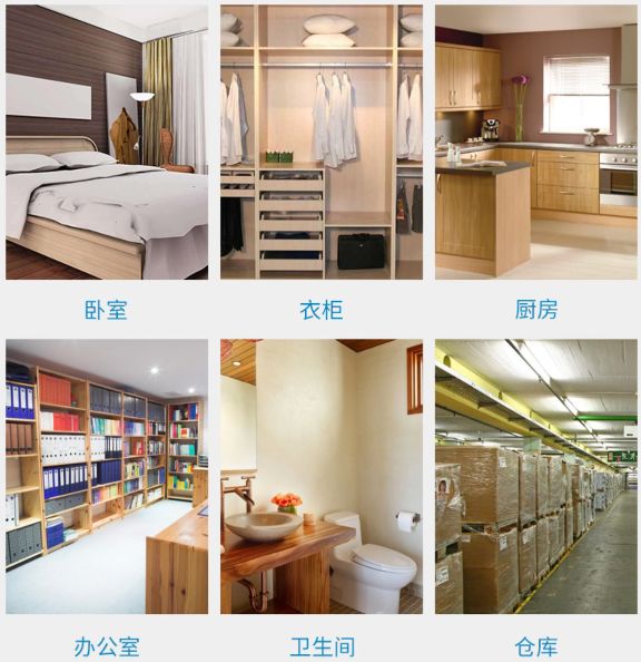 灭蟑螂的方法及药用价值,灭蟑螂最有效的7种天然驱蟑方法