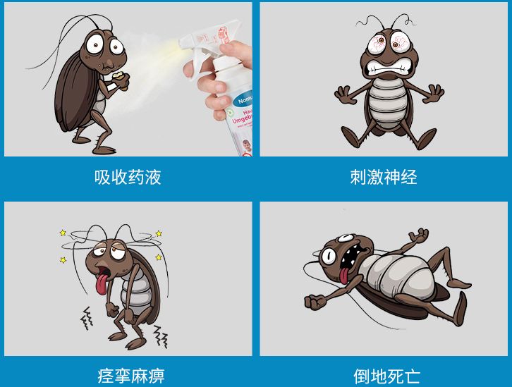 灭蟑螂最有效的话,怎样有效灭蟑螂且对人无危害