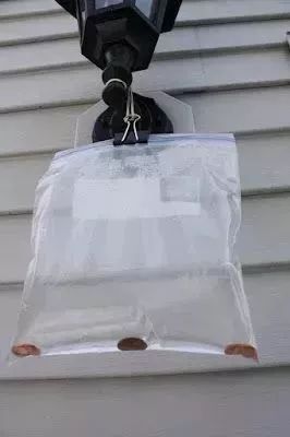 洗衣粉加肥皂蟑螂怎么消灭最彻底,住一楼怎么除蟑螂蚊虫彻底