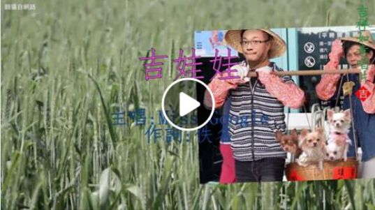 果然，一群“*独台**吉娃娃”