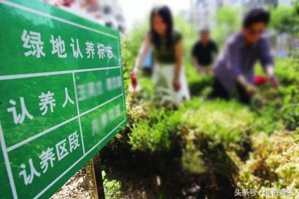 农产品网络营销的手段和方法,农产品网络营销的运营模式