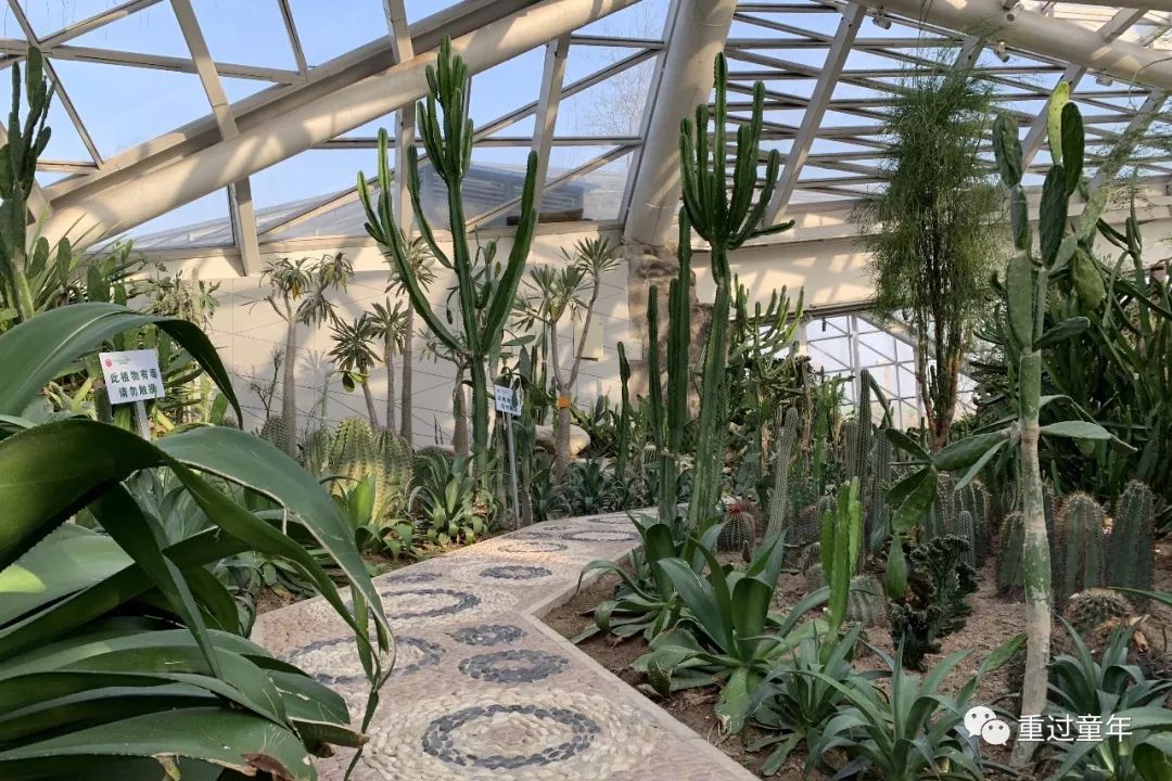 西安一个很有特色的公园,西安十大免费景区公园