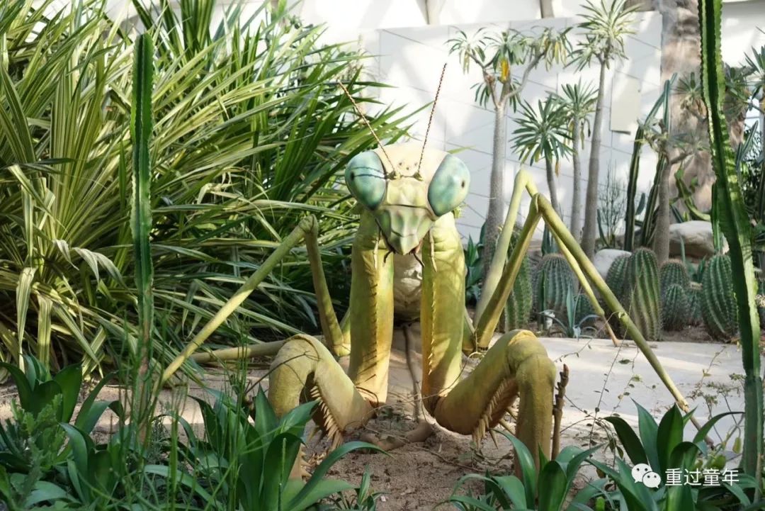 西安一个神奇的公园,西安市最值得去的免费公园景点