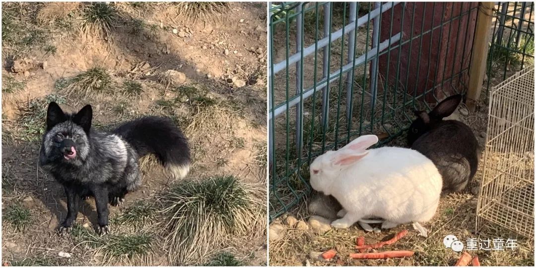 西安一个神奇的公园,西安市最值得去的免费公园景点