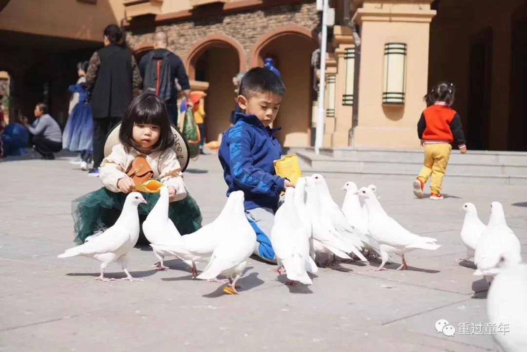 西安一个很有特色的公园,西安唯一要门票的公园
