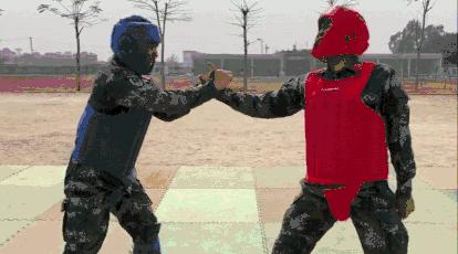 格斗高手速成手册,你值得拥有!