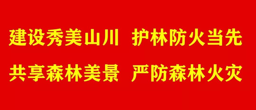 懒人快速去皱纹的方法,一涂一抹轻松解决皱纹