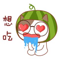 千岛湖鱼头比赛,千岛湖争霸赛