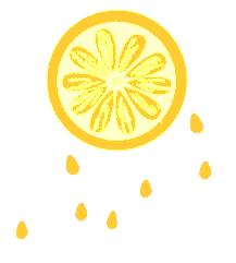 外研社杯全国英语阅读大赛校赛,外研社杯全国英语写作大赛时间