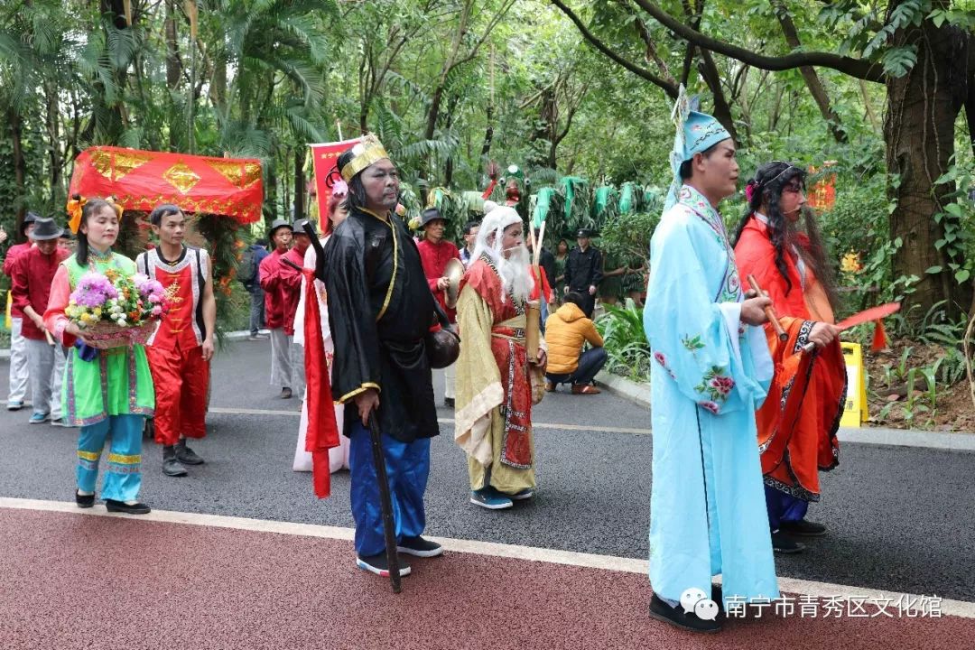 群龙聚首贺新春,青秀区国际传统舞龙邀请赛