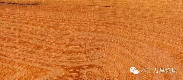 识别木材优劣家居人必备基本功,木材识别基础知识