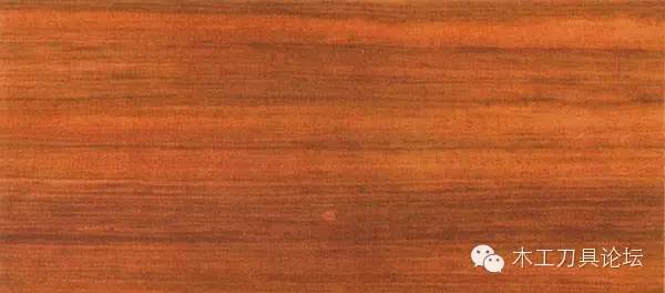 识别木材优劣家居人必备基本功,木材识别基础知识