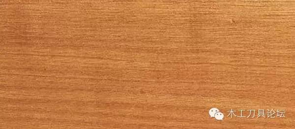 识别木材优劣家居人必备基本功,木材识别基础知识