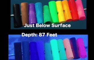 桥墩构造方法有哪些,桥墩究竟是怎么造