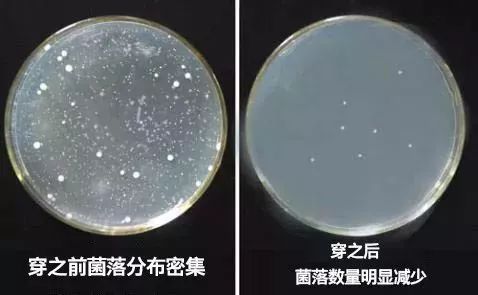 比杜蕾斯还薄的*裤内**,竟能抑制99%的细菌,穿上就像裸着一样