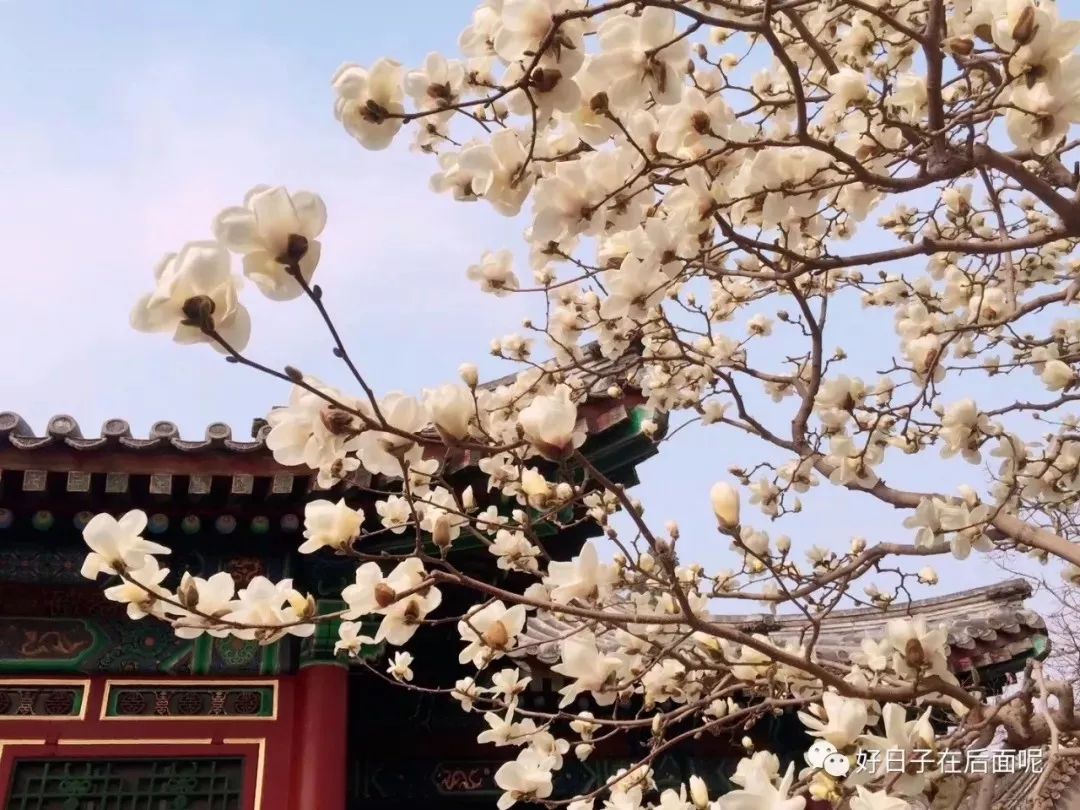 外交学院国际关系考研经验帖,考研经验英语