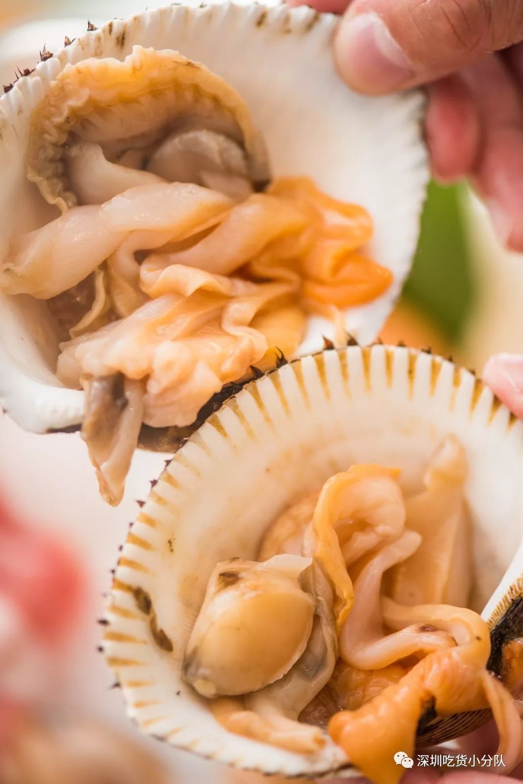 普吉岛芭东海滩泰式小火锅,普吉岛椰子岛网红