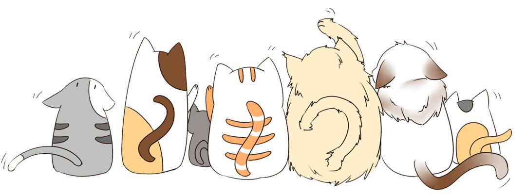 【慢城·关注】保护秦岭│蓝小宣带你探秘秦岭蓝田段“绿色宝库”（三）