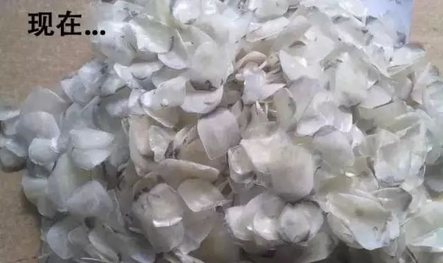 剁手｜10块钱在上海能干些什么？这些可能大家都想不到！