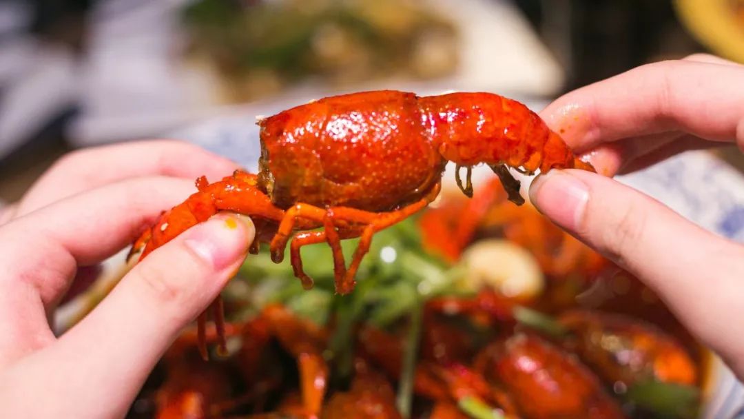 4折从四川吃到广东！我左手拿麦，右手啤酒，在这个“千面餐厅”里嗨到凌晨？