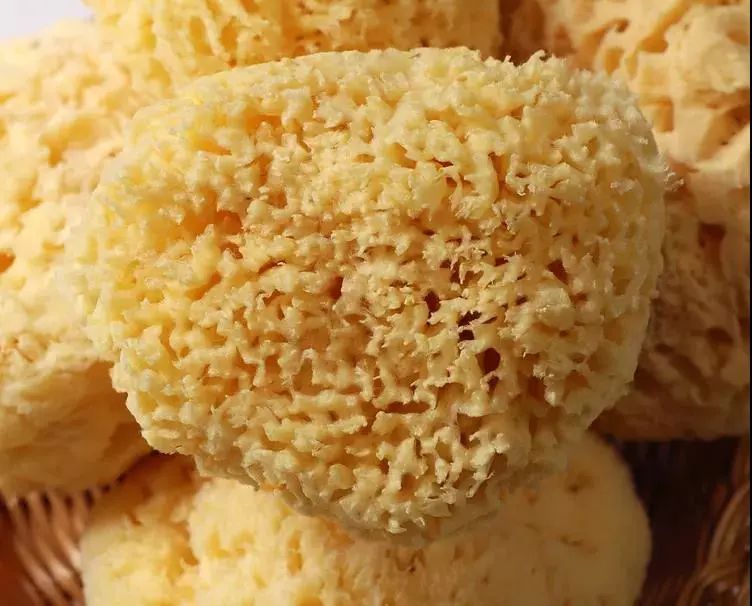 沐浴海绵和希腊海绵,实用皮肤清洁海绵搭配沐浴露使用