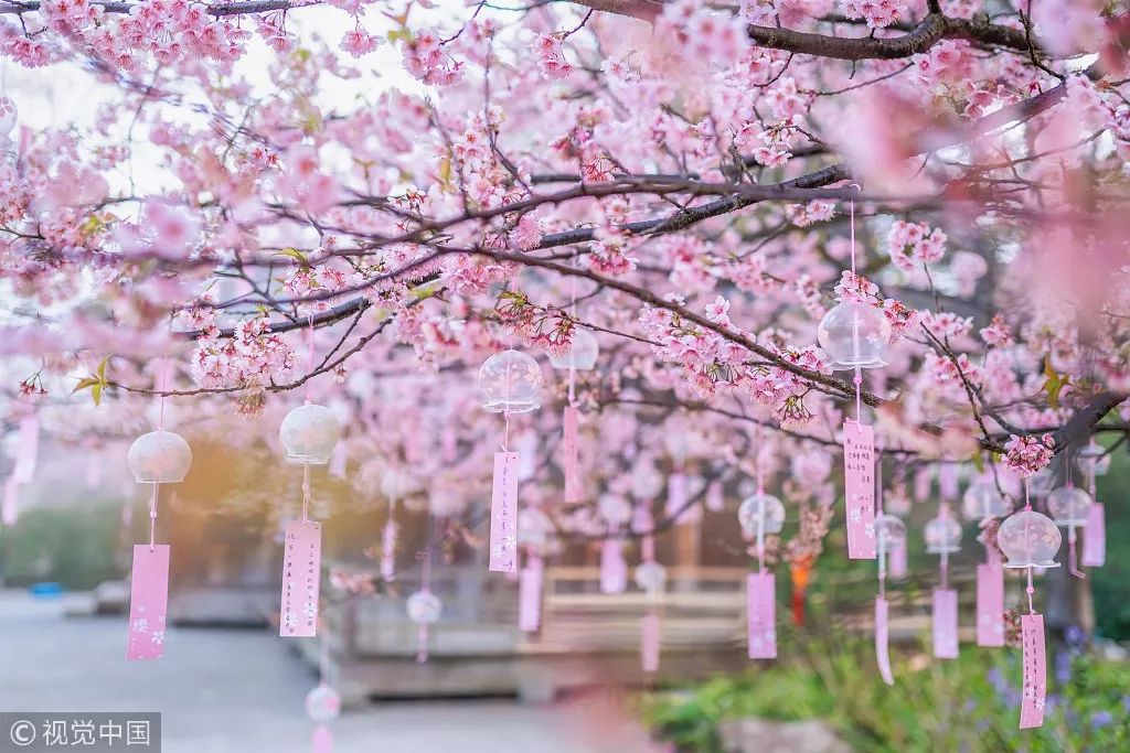 最适合清明旅行的20个地方,清明小长假适合哪里旅游