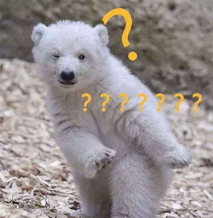 深夜和客服搞笑聊天截图,深夜和客服的聊天截图