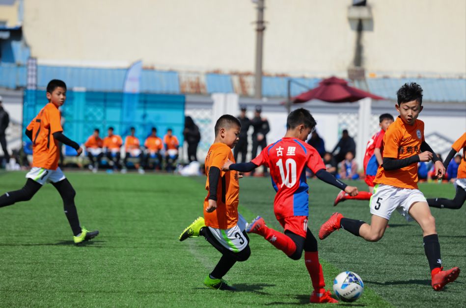 看着校园里熟悉的一切感慨万千,看到校园美好的景象