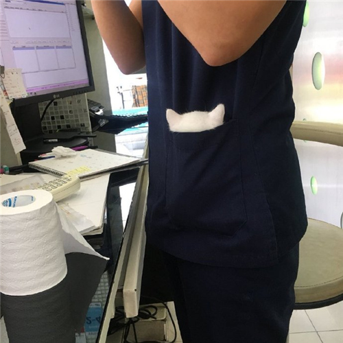 每日神段子丨梁静茹的原名叫梁翠萍