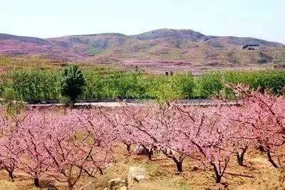 最新通告!清明假期,河北这些地儿不能去,因为……