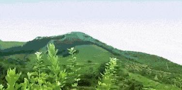 睡前泡脚抗衰老,泡脚水里加点它养生效果翻倍