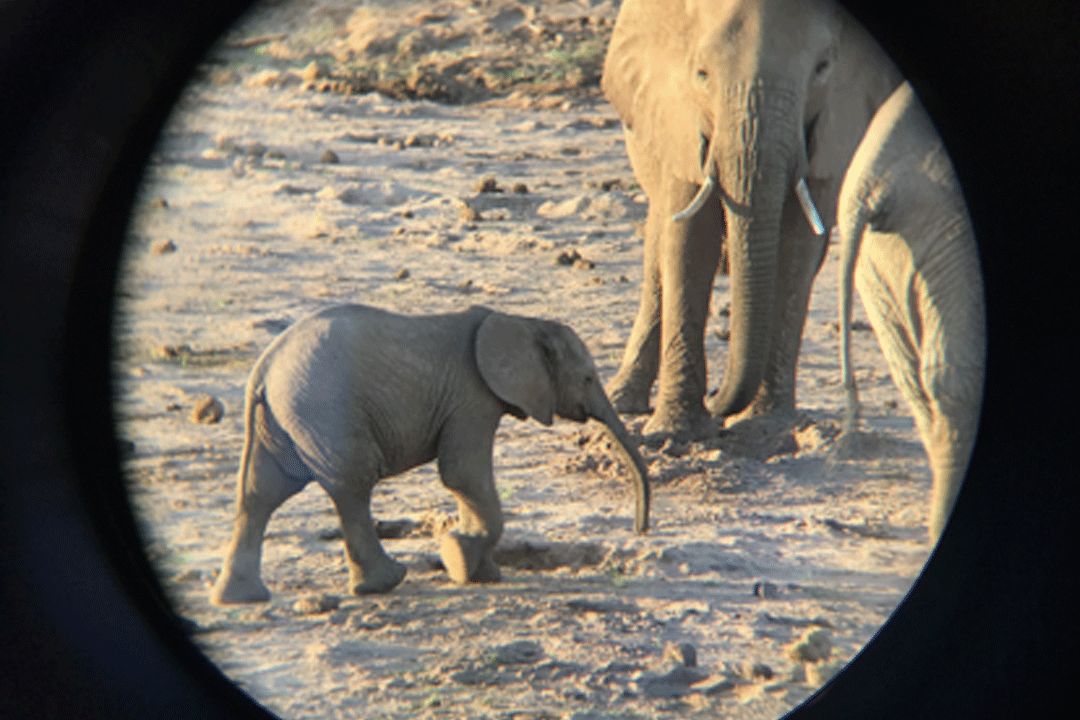 跟刘昊然在非洲过了6天5夜,发现他其实就是个话痨加多动症啊……