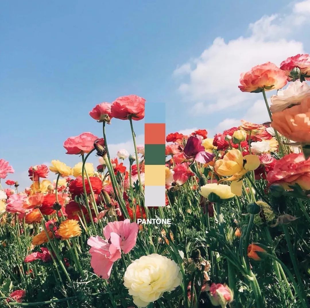 最近最满意的穿搭,今年夏天流行穿搭推荐