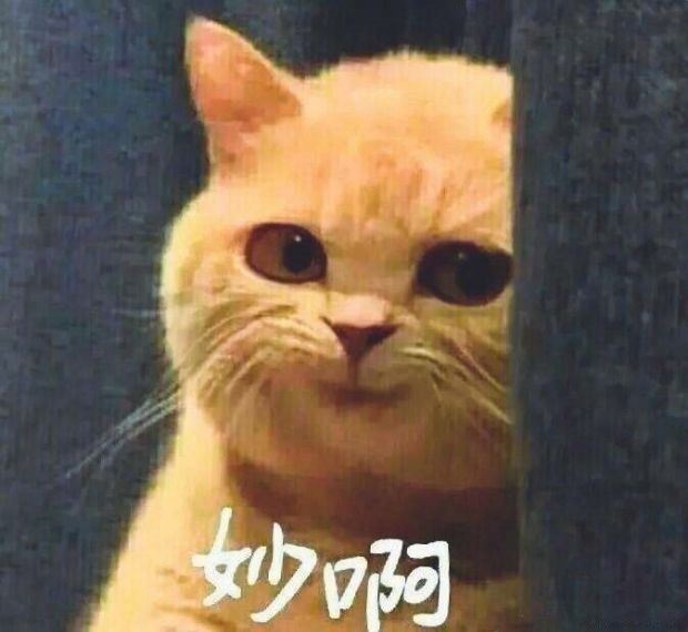 西安机场有没有开通国内航班,西安机场最新通道