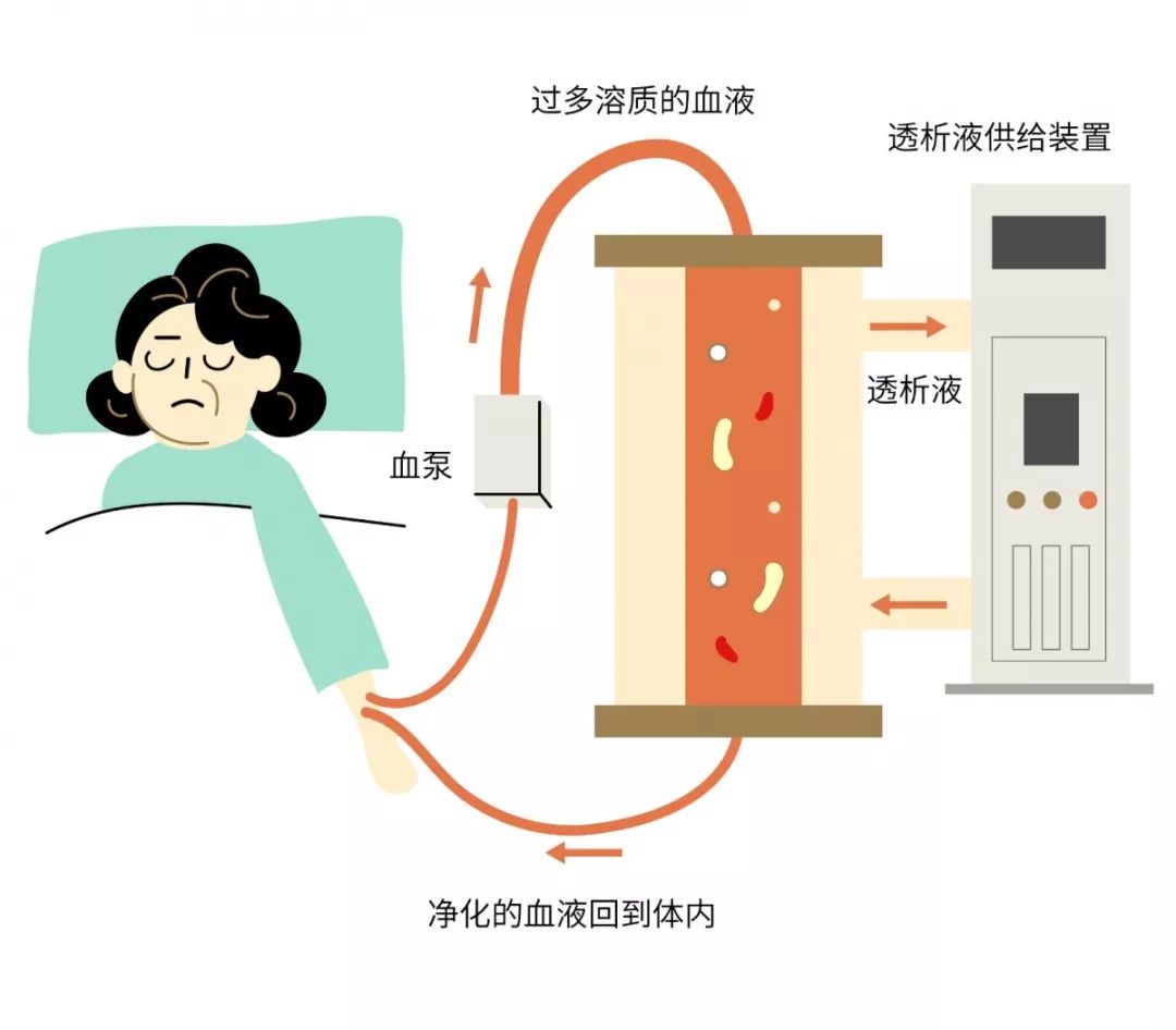【名医】“我”是你的肾！最讨厌你吃太咸、熬夜……