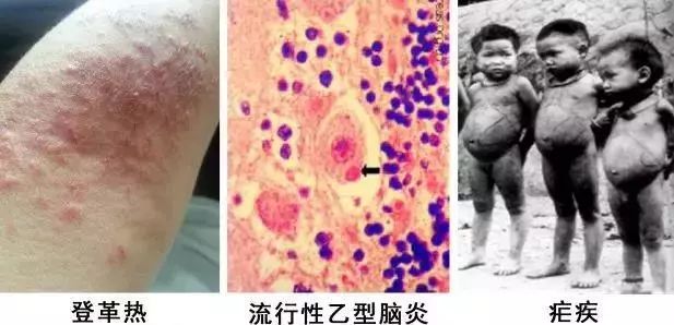蚊子驱蚊驱虫,杀虫剂对蚊子有效又安全