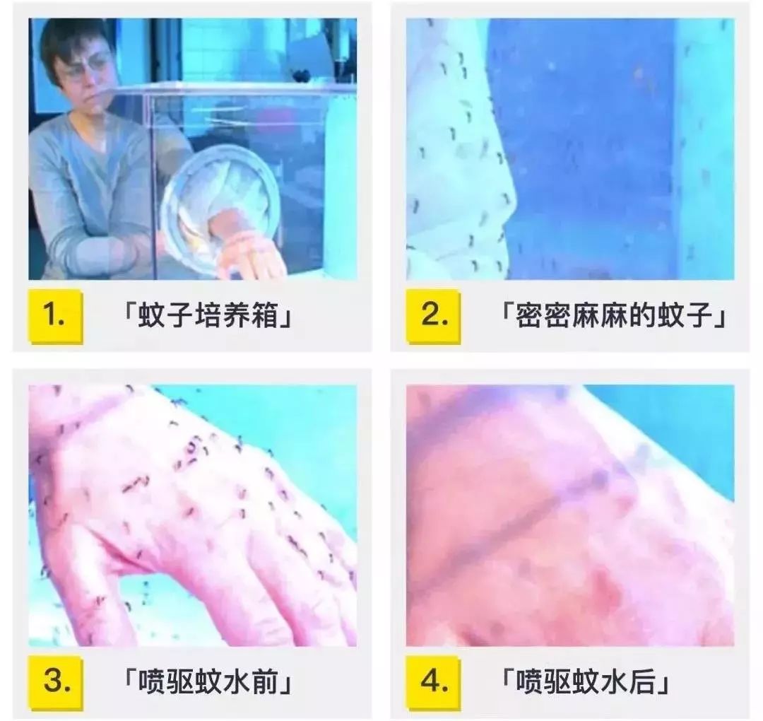 蚊子驱蚊驱虫,杀虫剂对蚊子有效又安全