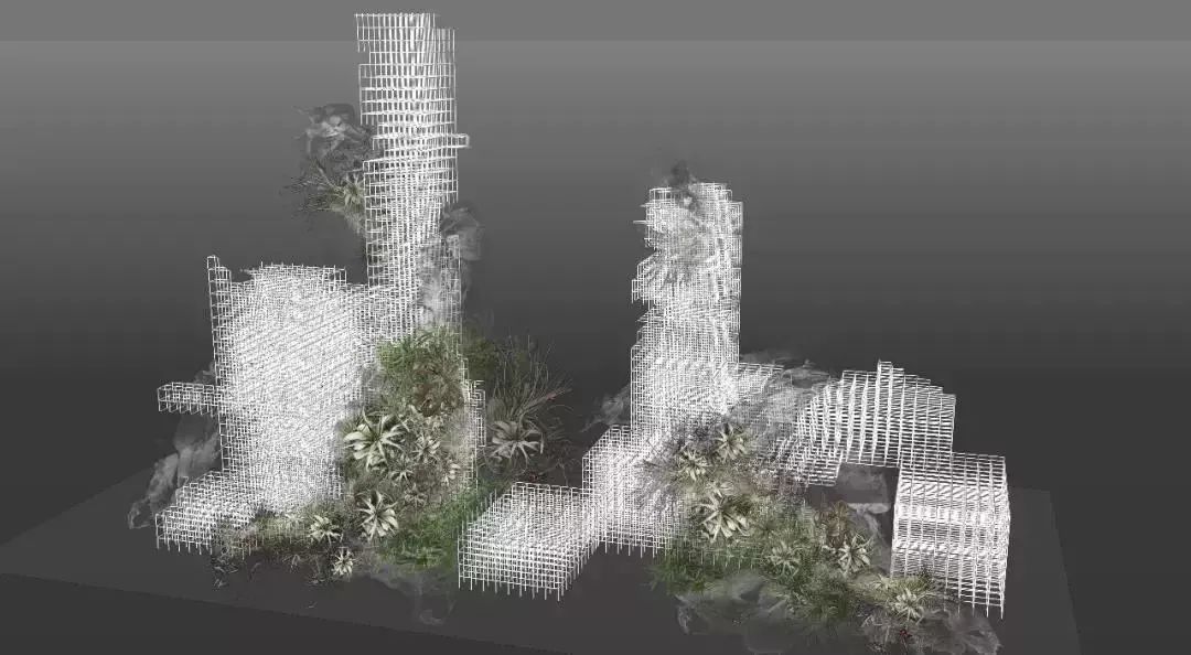 再也不羡慕别人家的果园,再也不用羡慕人家种的花