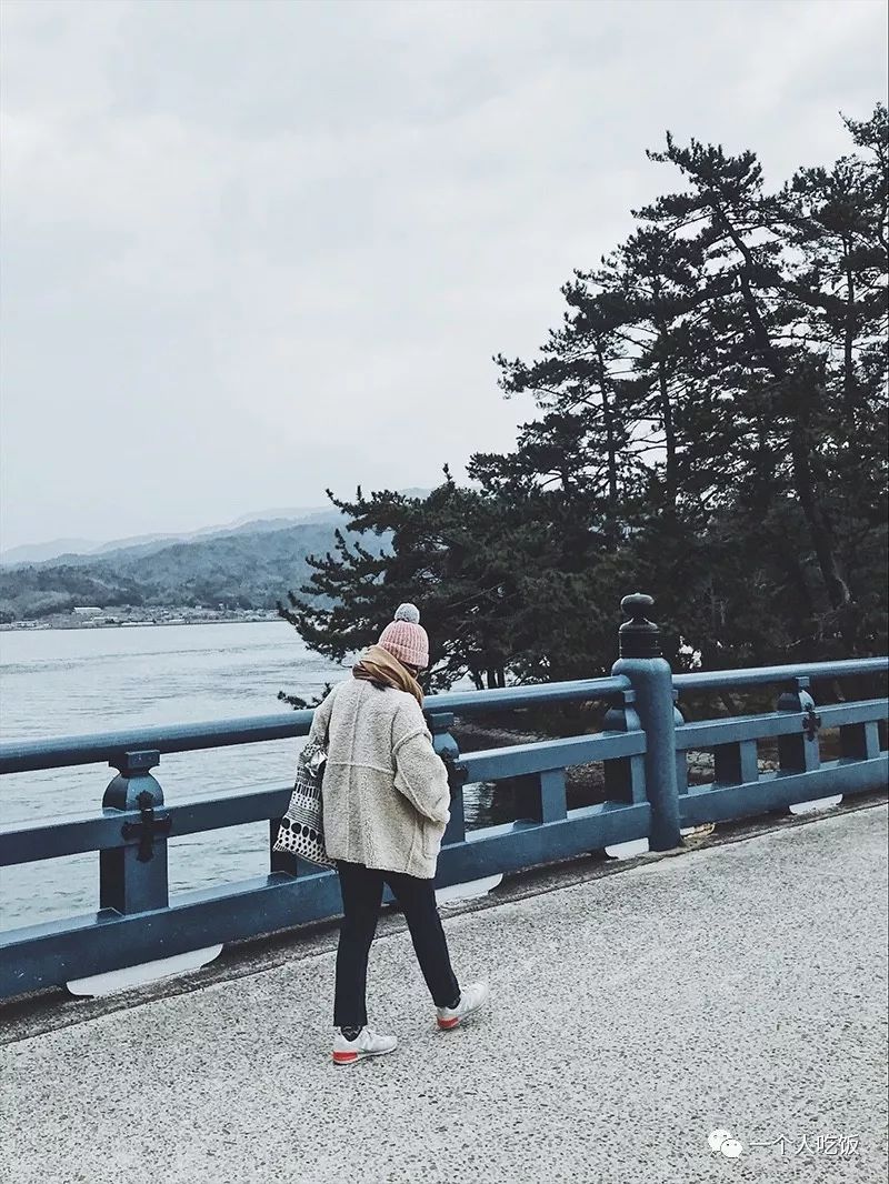 京都有什么值得去的餐厅,京都有啥好吃又不贵的