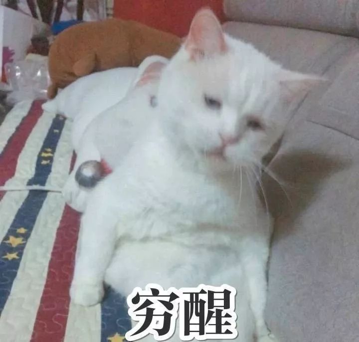 宜家免费住宿推荐,宜家免费开宾馆