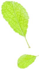 历史上著名的落榜生,有名的落榜书生