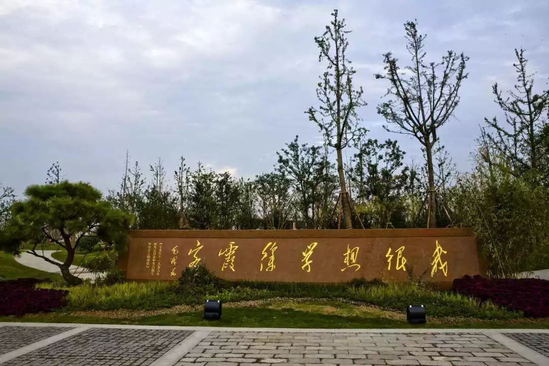 寮烘倣涔嬪厜,寮烘倣涔嬭檸