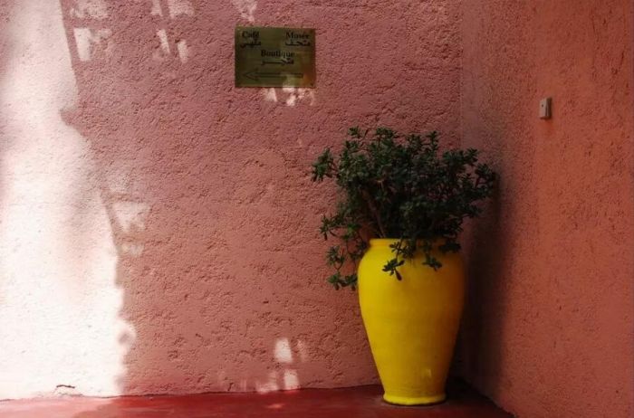 艺术家的花园系列介绍,艺术家的花园油画