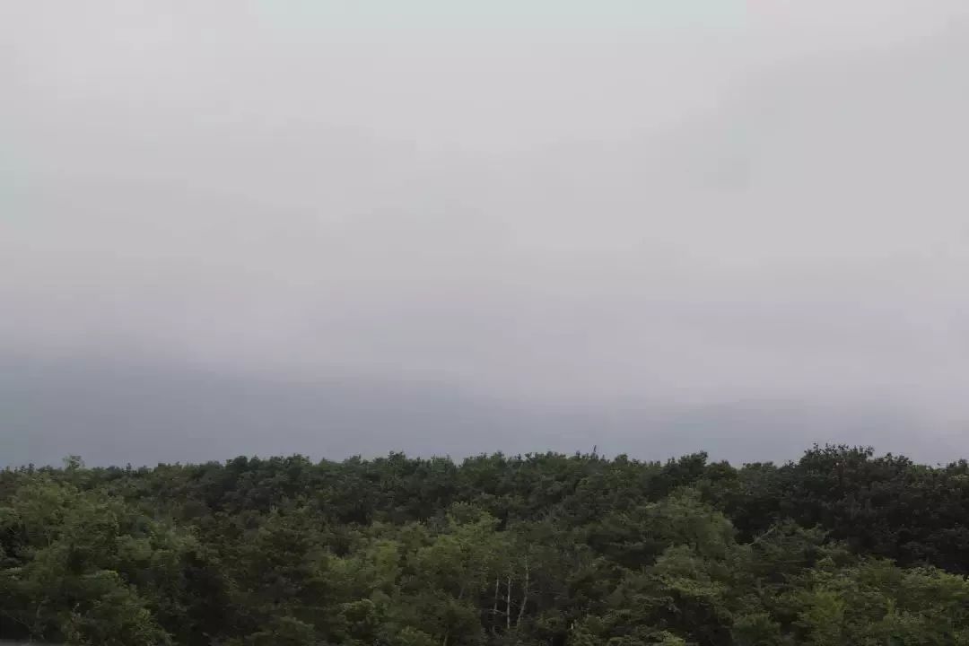 小星星旅行｜奈良美智